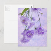 パープルカンパネラフラワーズマクロ ポストカード (正面/裏面)