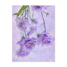 パープルカンパネラフラワーズマクロ