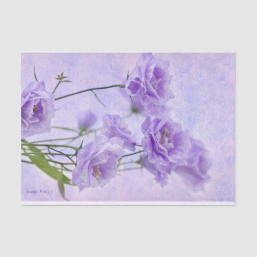 パープルカンパネラフラワーズマクロ 薄葉紙 (正面)