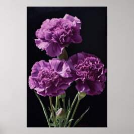 パープルカーネーション フラワーアートプリントポスター ポスター