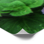 パープルガーデン ポスター (角)