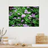 パープルガーデン ポスター (キッチン)