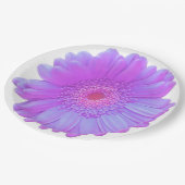 パープルガーベラデイジー ペーパープレート (アングル)