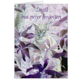 パープルキャット悔やみや弔慰ペットロス