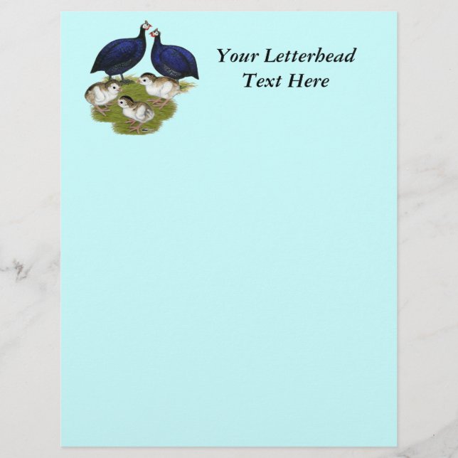 パープルギニア科 (正面)