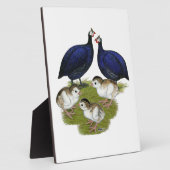 パープルギニア科 フォトプラーク (側面)