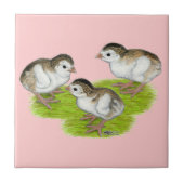 パープルギニア タイル (正面)