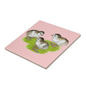 パープルギニア タイル (側面)