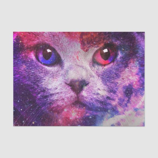 パープルギャラクシー猫 薄葉紙 (正面)