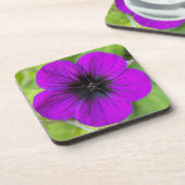 パープルクランズビルゼラニウムフローラ コースター (左側)