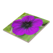 パープルクランズビルゼラニウムフローラ タイル (側面)