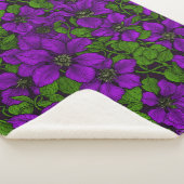 パープルクレマティスつる植物 シェルパブランケット (3/4)