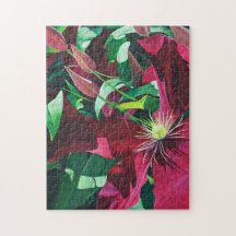 パープルクレマティスフローラ