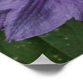 パープルクレマティスプリント ポスター (角)