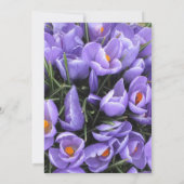 パープルクロかわいらしックススイート16誕生日招待状 招待状 (裏面)