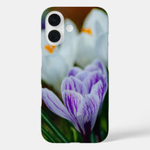 パープルクロカス スプリング フラワーズ iPhone 16 ケース