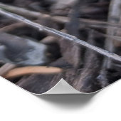 パープルクロカス ポスター (角)