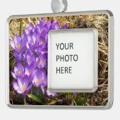 パープルクロキュースのクラスター春フローラ シルバープレートフレームオーナメント (左)