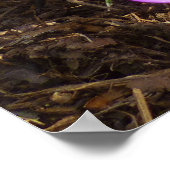 パープルクロキュースのクラスター春フローラ ポスター (角)