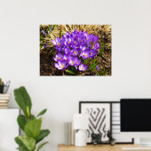 パープルクロキュースのクラスター春フローラ ポスター (ホームオフィス)