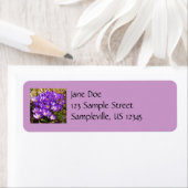 パープルクロキュースのクラスター春フローラ ラベル (インサイチュ)