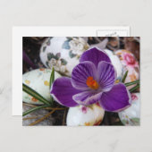 パープルクロッカスとフローライースターエッグ シーズンポストカード (正面/裏面)