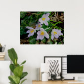 パープルクロッカスポスター ポスター (ホームオフィス)