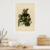 パープルグラクル ポスター (キッチン)