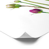 パープルコスモス花アートプリントポスター ポスター (角)