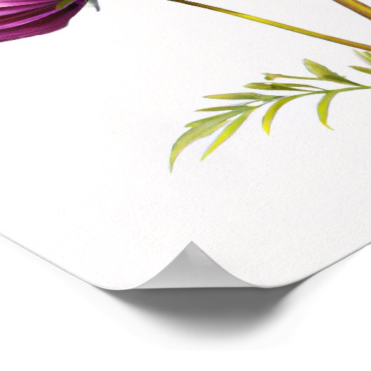 パープルコスモス花アートプリントポスター ポスター (角)