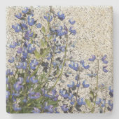 パープルサブアルパインルピンフローラ ストーンコースター (正面)