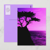 パープルサンセットビーチツリーオーシャンピースラブデスティニー ポストカード (正面/裏面)