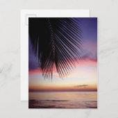 パープルサンセットビーチトロピカルパームツリーシルエット ポストカード (正面/裏面)