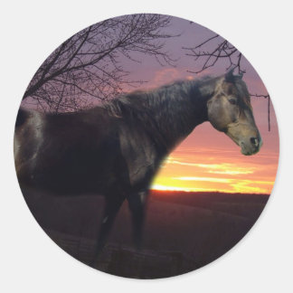 パープルサンライズのフォーエバーモルガンズブラックホース ラウンドシール