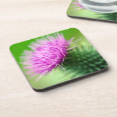 パープルシスルコースター コースター (左側)