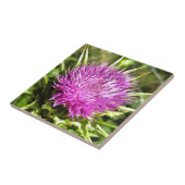 パープルシスルワイルドフラワーフローラ タイル (側面)