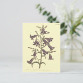 パープルシベリアベルフラワーイラストレーション ポストカード (スタンド正面)