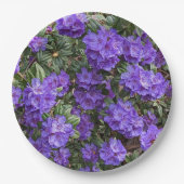 パープルシャクナゲ開花フローラ ペーパープレート (正面)