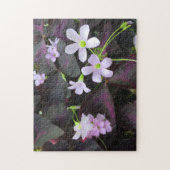 パープルシャムロック開花写真 ジグソーパズル (縦)
