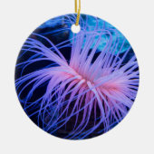 パープルシーアネモネマリンライフ セラミックオーナメント (正面)