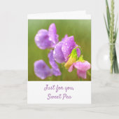 パープルスイートピー カード (正面)
