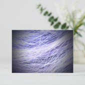 パープルストランドプリント (スタンド正面)