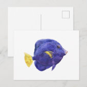 パープルタングの魚の水彩画イラスト ポストカード (正面/裏面)