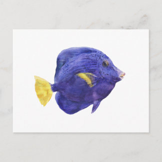 パープルタングの魚の水彩画イラスト ポストカード