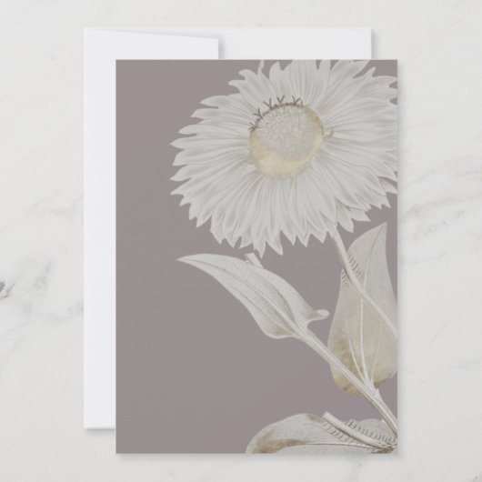 パープルダイジーアンティーク結婚式招待状 招待状 (裏面)