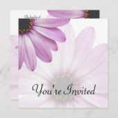 パープルダイジー 招待状 (正面/裏面)