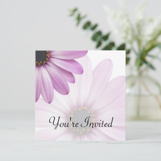 パープルダイジー 招待状 (スタンド正面)