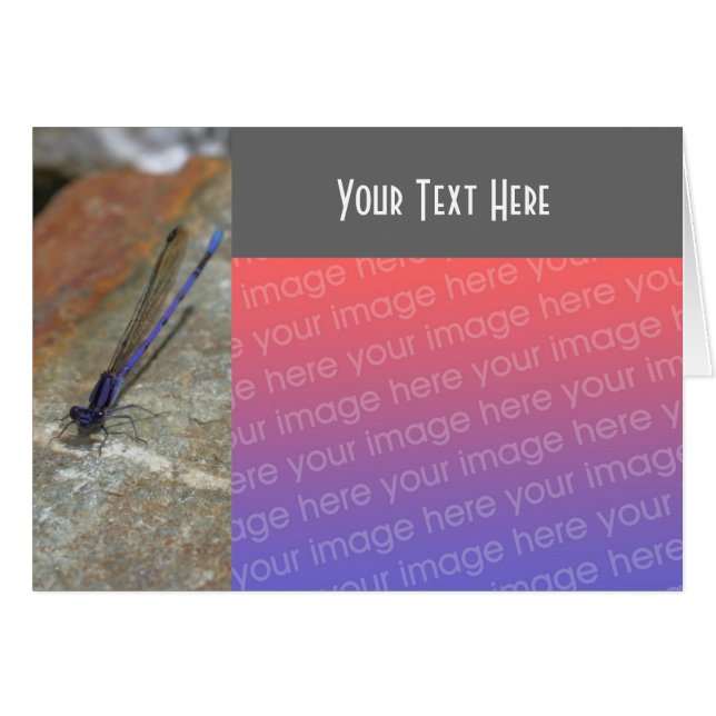 パープルダムセルフライ自然フォトカード (正面横)