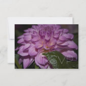 パープルダリアフラワーRSVP結婚式招待状 出欠カード (裏面)