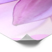 パープルダリア ポスター (角)